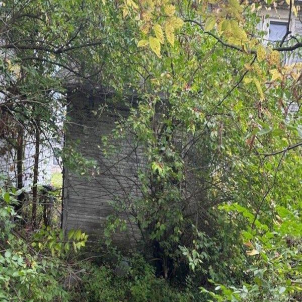 Rear of home before (2)