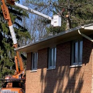 Certified arborist in a bucket truck trimming tree branches close to the roof of a brick residential home, ensuring safe and precise clearance.